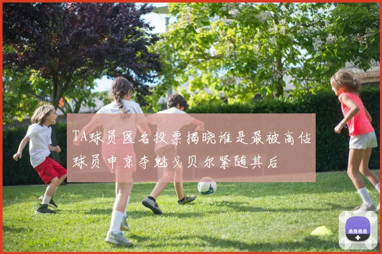 TA球员匿名投票揭晓谁是最被高估球员申京夺魁戈贝尔紧随其后